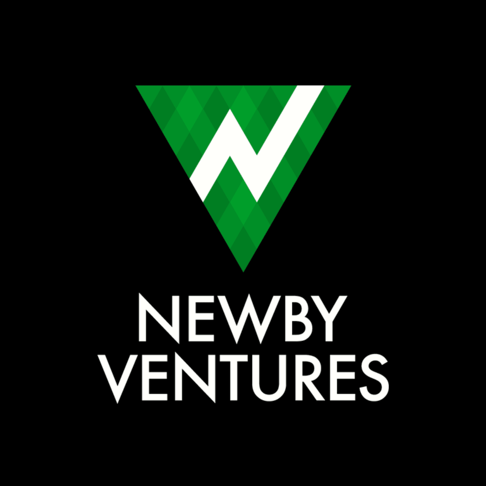 Newby Ventures logo: a green chevron mark above the Newby Ventures wordmark